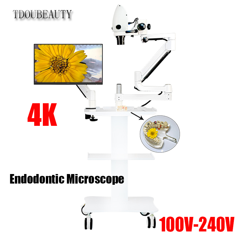Teeth Whitening Video - 4K Diş Elektron Mikroskobu 20 Milyon