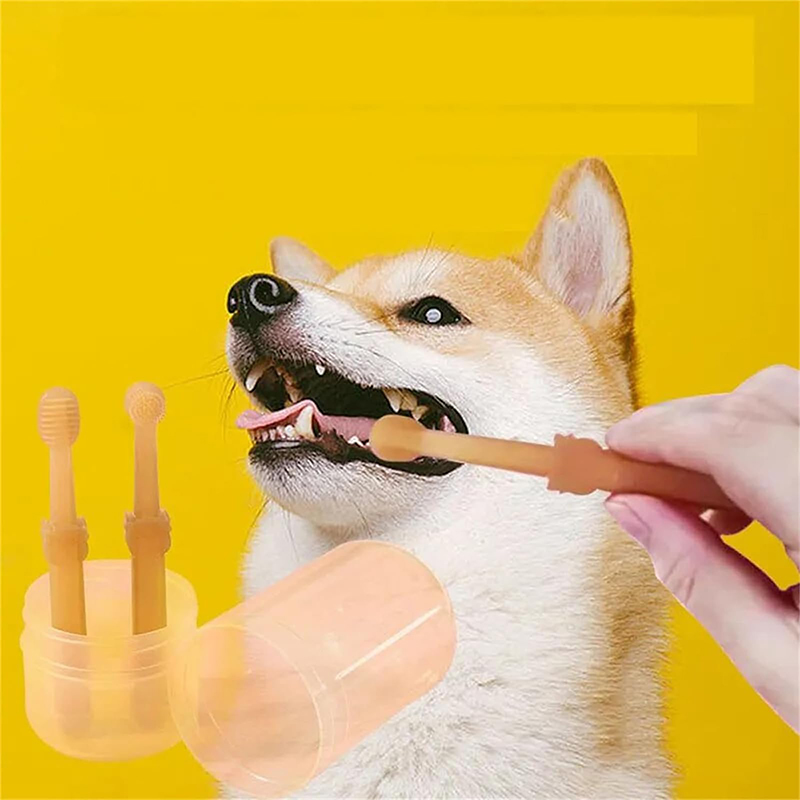 Diş Beyazlatma Köpek Kedi Sili - Teeth Whitening Toothbrush incelemesi ve fiyatı